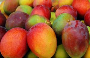 mangos