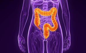 300x186_50f95b5fb937955703000000-1358519993