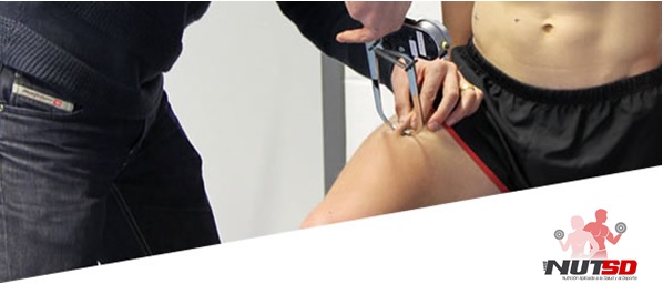 composicion corporal